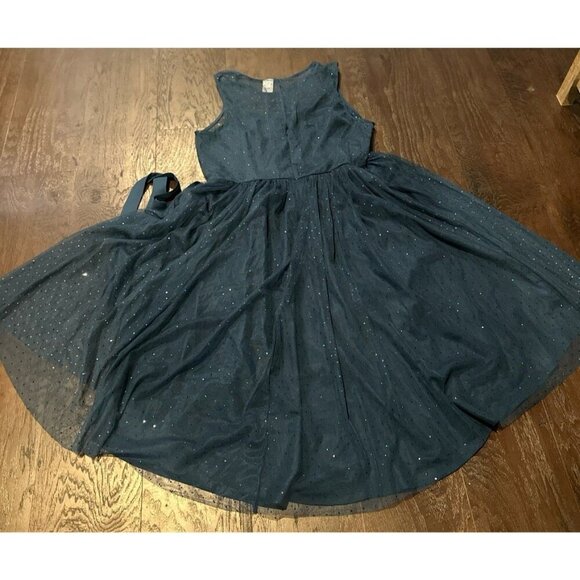 LC Lauren Conrad Snow White Collection Tulle Fit & Flare Blue Dress g24 - Picture 2 of 3